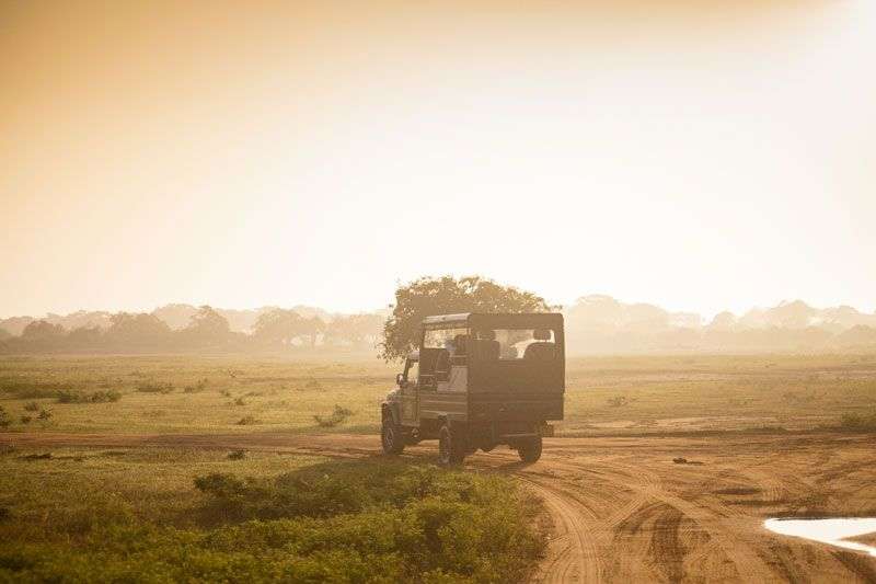 Jeepsafari in Yala National Park<br>